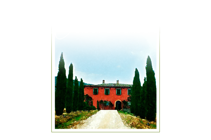 BEATRICE - olio extravergine di oliva biologico